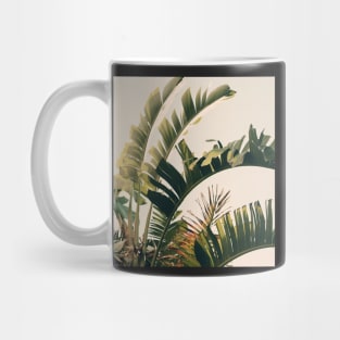 Tropic Sky Mug